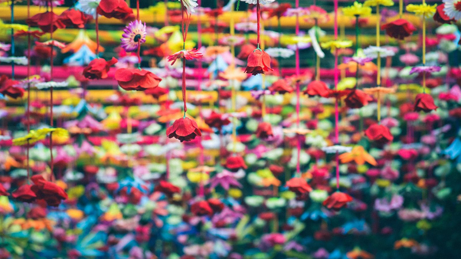 Colorful flowers on a page full of text