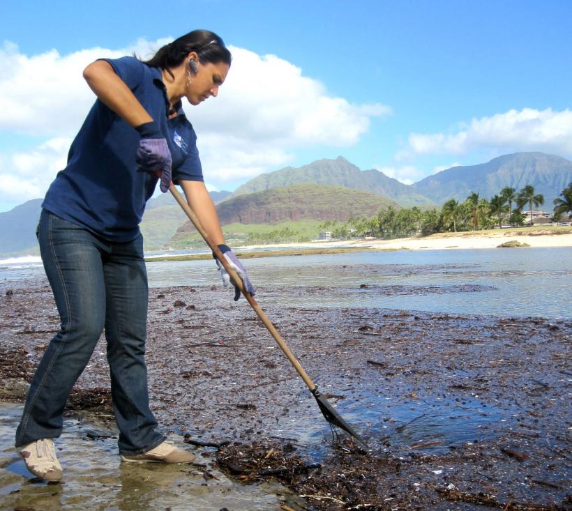 Waianae Coast clean up.