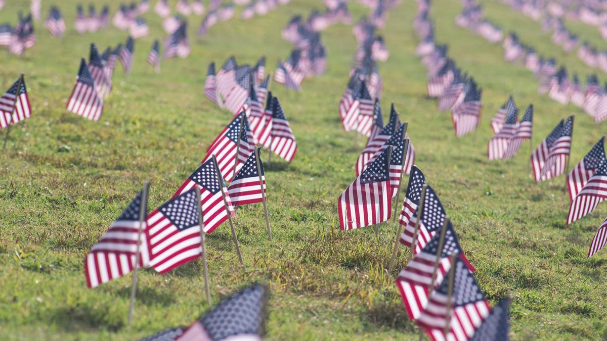Photo of American flags