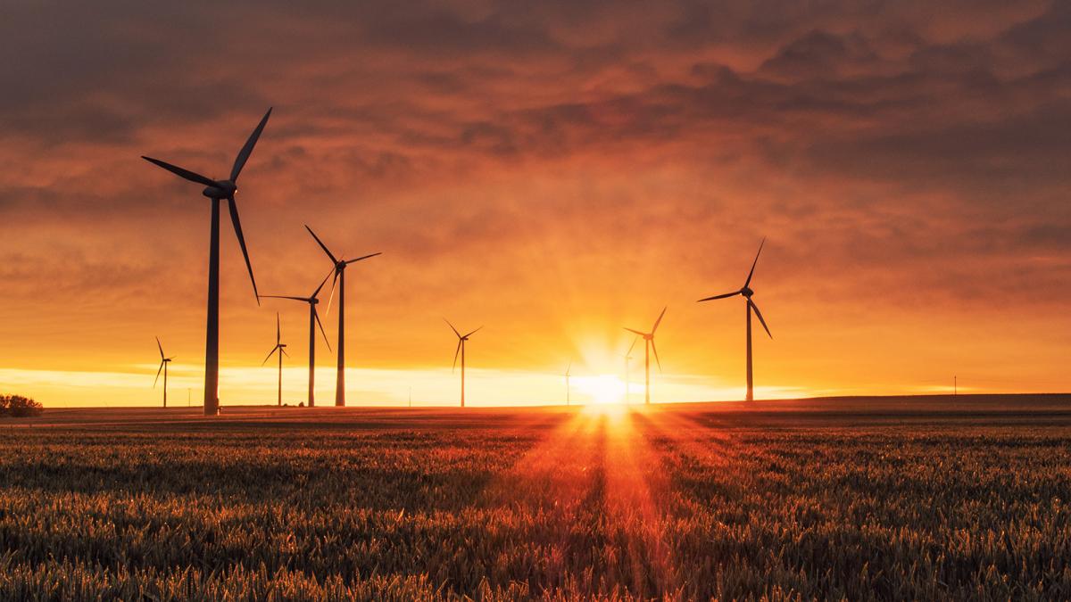 A photo of a wind farm